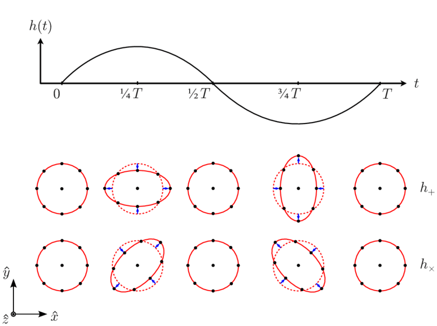 GW-polarizations