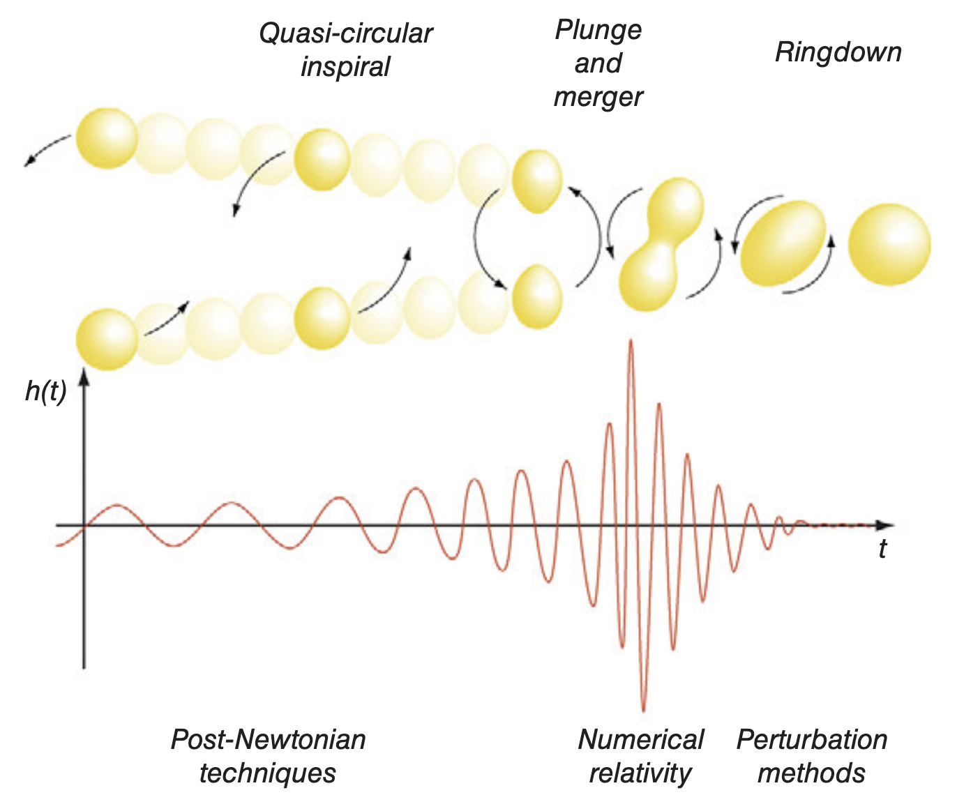 phases